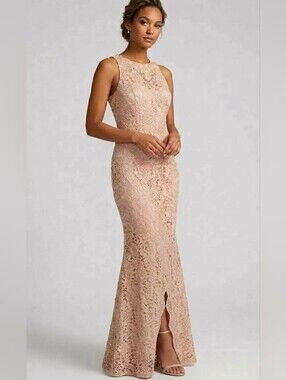 JS Collections Blush Lace Sleeveless Maxi Dress SOLD AS IS Size 8